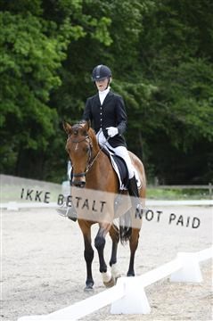139898_ms_01__MS28104.JPG