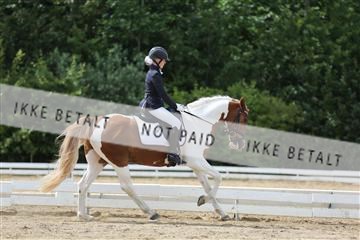 156196_nn_01_IMG_6285.JPG