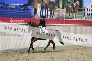 182241_kbb_01_Z095337.JPG