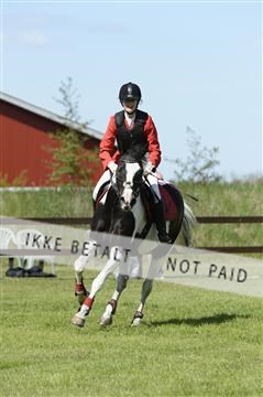 139815_ms_01__MS27530.JPG