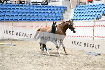 181754_kbb_01_Z093374.JPG