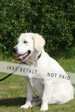 130370_se_03_IMG_6941.JPG