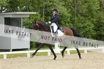 139835_sg_01_IMG_8183.JPG