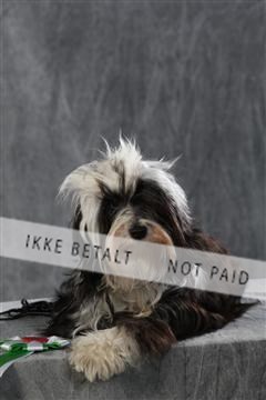 128239_le_kort_ 01_0090.JPG