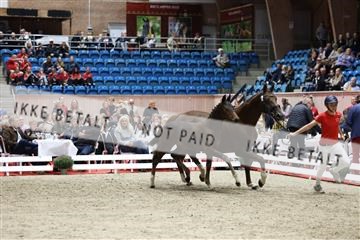 181957_mtp_08_R62_5609.JPG