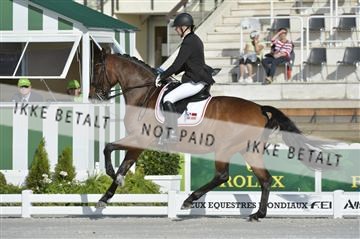 144462_bc_13__BC14185.JPG