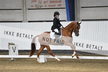 140040_abo_02__AB18367.JPG