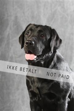 129608_le_ 01_0289.JPG