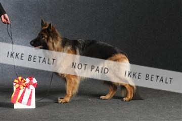 132082_le_ 01_IMG_1612.JPG