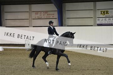 140040_abo_01__AB17716.JPG