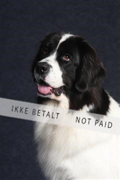 132082_le_ 01_IMG_0583.JPG