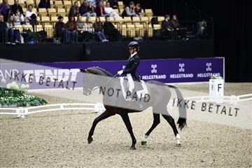 182194_avh_05_2391.JPG