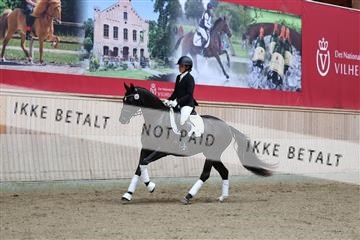 181887_mtp_01_R62_6782.JPG