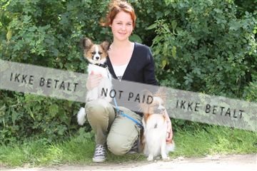 130370_se_01_IMG_5291.JPG
