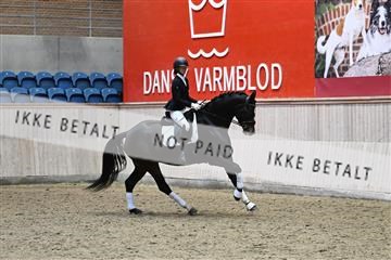 182241_kbb_01_Z095124.JPG