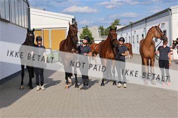 179800_BC_02_00147.JPG