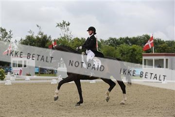 156196_nn_01_IMG_5099.JPG