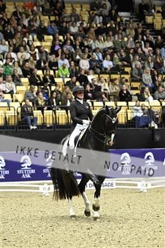 182194_kbb_03_Z092480.JPG