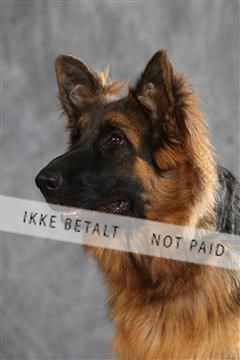 130054_le_ 01_0352.JPG