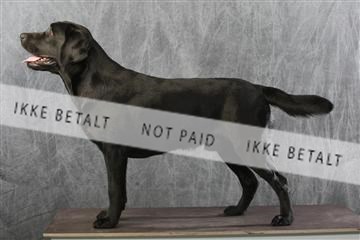 129608_le_ 01_0276.JPG