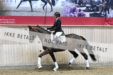 182241_kbb_01_Z094614.JPG