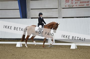 140040_abo_02__AB18300.JPG