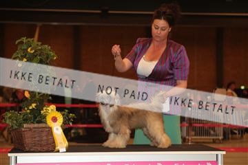 124188 _tl_02_IMG_9224.JPG