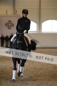 139266_kl_1_8M1Q7441.JPG