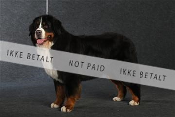 132082_le_ 01_IMG_0866.JPG