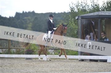 169624_kbb_01__KBB8716.JPG