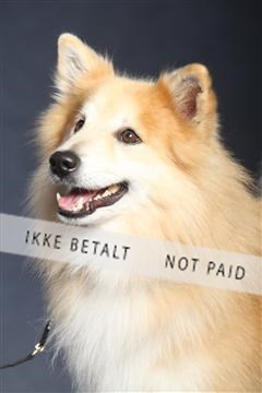 132082_le_ 01_IMG_1045.JPG