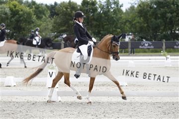 166078_rhj_01__J7R2431.JPG