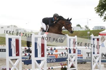 152762_nn _05_IMG_7803.JPG