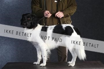 132082_le_ 01_IMG_0542.JPG