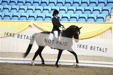 139403_ms_01__MS17875.JPG