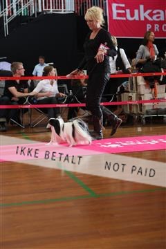 6068_ma_05_IMG_5762.JPG