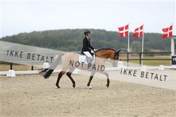 181894_mtp_04_R62_3448.JPG
