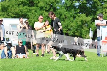 181564_rin_02_R62_3081.JPG