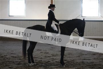 139267_kl_1_8M1Q6804.JPG