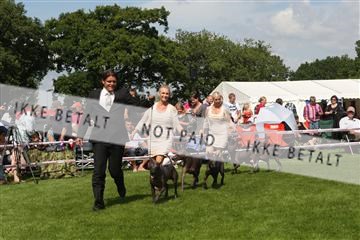 130370_se_03_IMG_7595.JPG