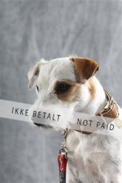 129608_le_ 02_0045.JPG