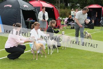 130370_tl_01_IMG_7173.JPG