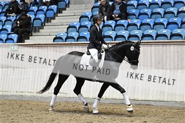182241_kbb_01_Z095115.JPG