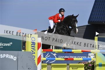 139644_abo_02__AB14765.JPG