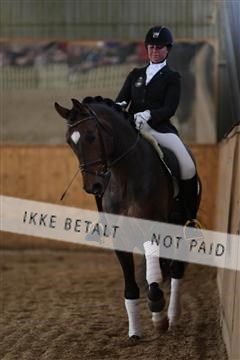 139206_kl_1_8M1Q5110.JPG