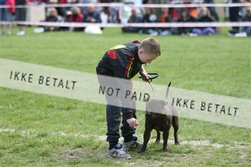 134871_ms_04_IMG_0286.JPG