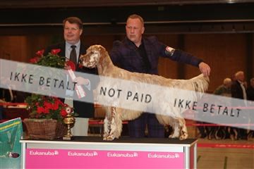 124188 _tl_02_IMG_9661.JPG