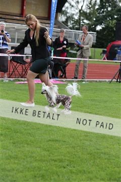 135616_jbr_04_IMG_2369.JPG
