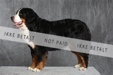 130054_le_ 03_0434.JPG