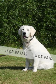 130370_se_03_IMG_6924.JPG